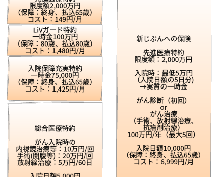29歳・証券アナリストkazuが保険屋のおばちゃんに提案受けたので分析してみた(7)