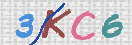 キャプチャ画像