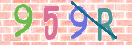 キャプチャ画像