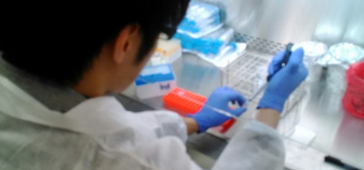 【ムービー有】iPS細胞を心筋細胞へ分化！日本科学未来館で再生医療を学びました